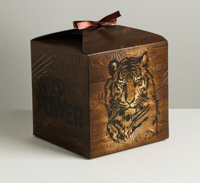 Коробка складная Wild power, 18 × 18 × 18 см