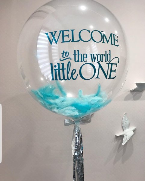 Купить Welcome to the world little one в спб по комфортной цене!