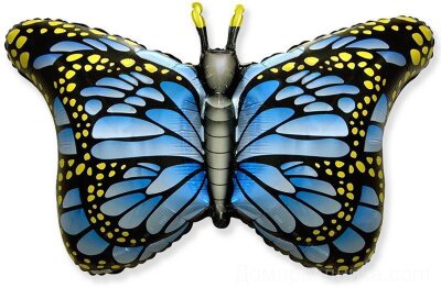 Бабочка монарх голубо-синяя